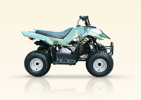 ATV 80 - четырехтактный квадроцикл, воздушное охлаждение, вариатор, 2WD ATV 80 - четырехтактный квадроцикл, воздушное охлаждение, вариатор, 2WD