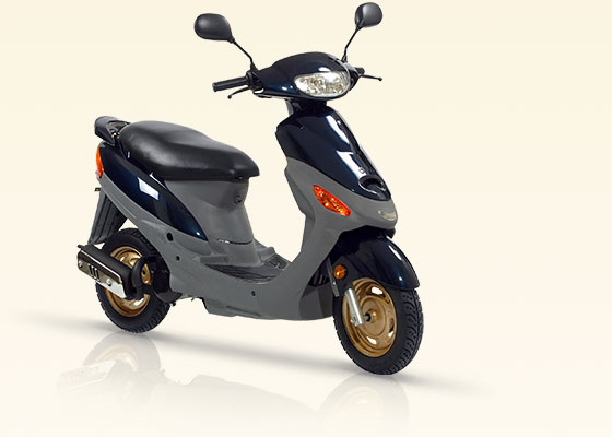 Joy S 50 - двухтактный, воздушное охлаждение, вариатор Joy S 50 - двухтактный, воздушное охлаждение, вариатор