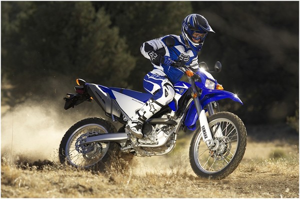 Yamaha wr250r