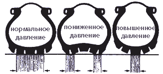 Dunlop Sportmax Roadsmart - шины для дождевой езды